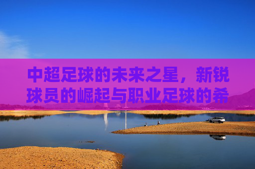 中超足球的未来之星，新锐球员的崛起与职业足球的希望，中超足球的未来之星，新锐球员的崛起与职业足球的希望