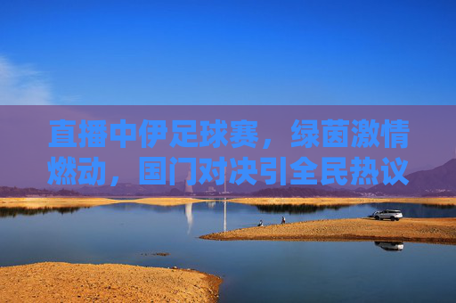 直播中伊足球赛，绿茵激情燃动，国门对决引全民热议，中伊足球赛直播，绿茵激情燃动，国门对决引全民热议