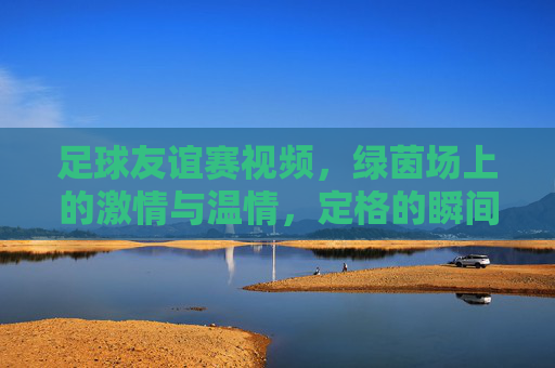 足球友谊赛视频，绿茵场上的激情与温情，定格的瞬间与未说出口的默契，足球友谊赛，绿茵场上的激情与温情，定格瞬间与未说出口的默契