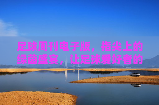 足球周刊电子版,指尖上的绿茵盛宴,让足球爱好者的每一次阅读都充满激情,足球周刊电子版,指尖上的绿茵盛宴,让足球爱好者的每一次阅读都充满激情