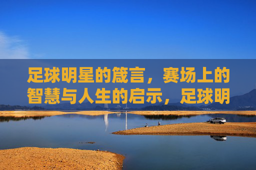 足球明星的箴言,赛场上的智慧与人生的启示,足球明星的箴言,赛场上的智慧与人生的启示