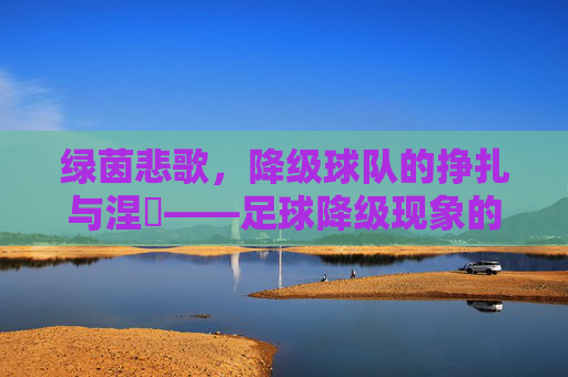 绿茵悲歌,降级球队的挣扎与涅槃——足球降级现象的深度剖析,绿茵悲歌,降级球队的挣扎与涅槃——足球降级现象的深度剖析