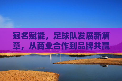 冠名赋能，足球队发展新篇章，从商业合作到品牌共赢的深度探索，冠名赋能，足球队发展新篇章，从商业合作到品牌共赢的深度探索