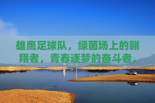 雄鹰足球队，绿茵场上的翱翔者，青春逐梦的奋斗者，雄鹰足球队，绿茵场上的翱翔者，青春逐梦的奋斗者
