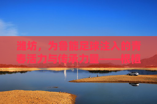 潍坊，为鲁能足球注入的青春活力与传承力量——根植城市的足球梦想，潍坊，为鲁能足球注入的青春活力与传承力量——根植城市的足球梦想