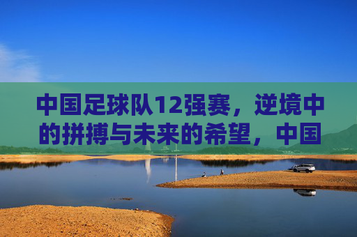 中国足球队12强赛,逆境中的拼搏与未来的希望,中国足球队12强赛,逆境拼搏与未来希望