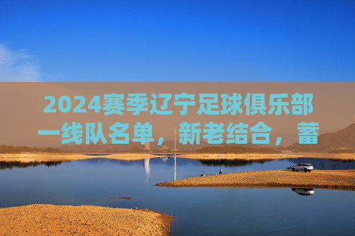 2024赛季辽宁足球俱乐部一线队名单,新老结合,蓄势待发,2024赛季辽宁足球俱乐部一线队名单,新老结合 蓄势待发