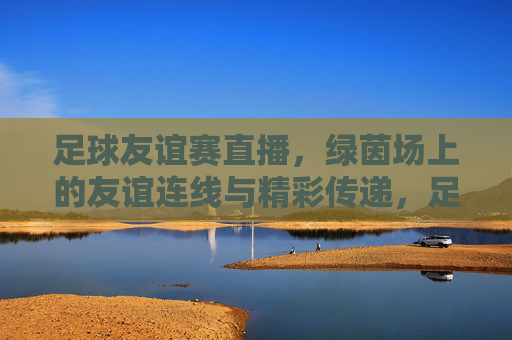 足球友谊赛直播，绿茵场上的友谊连线与精彩传递，足球友谊赛直播，绿茵场上的友谊连线与精彩传递