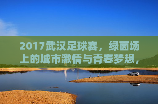 2017武汉足球赛，绿茵场上的城市激情与青春梦想，2017武汉足球赛，绿茵场上的城市激情与青春梦想
