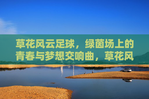 草花风云足球，绿茵场上的青春与梦想交响曲，草花风云足球，绿茵场上的青春与梦想交响曲
