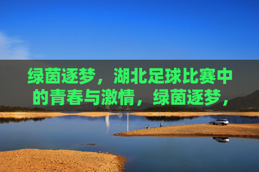 绿茵逐梦，湖北足球比赛中的青春与激情，绿茵逐梦，湖北足球比赛中的青春与激情