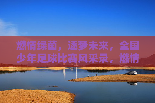 燃情绿茵，逐梦未来，全国少年足球比赛风采录，燃情绿茵，逐梦未来，全国少年足球比赛风采录