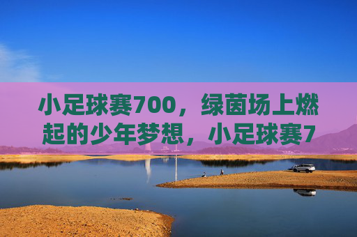 小足球赛700,绿茵场上燃起的少年梦想,小足球赛700,绿茵场上燃起的少年足球梦