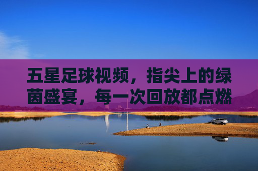 五星足球视频，指尖上的绿茵盛宴，每一次回放都点燃激情，五星足球视频，指尖上的绿茵盛宴，每一次回放都点燃激情