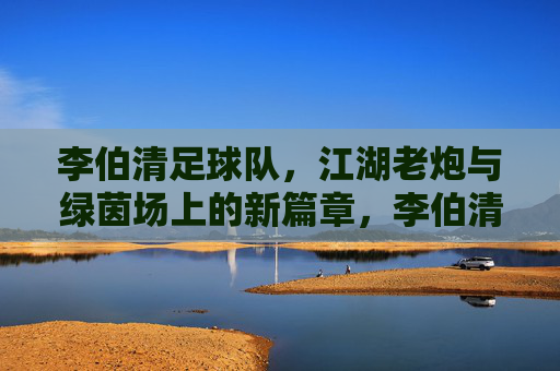 李伯清足球队,江湖老炮与绿茵场上的新篇章,李伯清足球队,江湖老炮与绿茵场上的新篇章