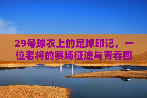29号球衣上的足球印记，一位老将的赛场征途与青春回响，29号球衣上的足球印记，一位老将的赛场征途与青春回响