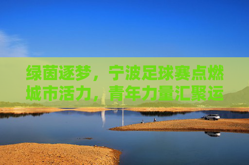 绿茵逐梦,宁波足球赛点燃城市活力,青年力量汇聚运动热浪,绿茵逐梦燃活力,宁波足球赛汇聚青年运动热浪