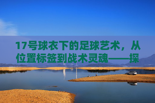 17号球衣下的足球艺术，从位置标签到战术灵魂——探寻17号球星在绿茵场的独特价值，17号球衣下的足球艺术，从位置标签到战术灵魂——探寻17号球星在绿茵场的独特价值