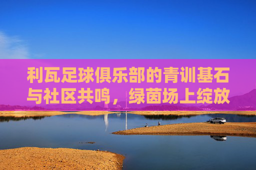 利瓦足球俱乐部的青训基石与社区共鸣,绿茵场上绽放的足球梦想之花