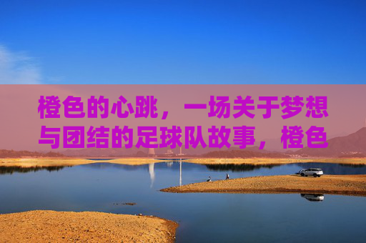 橙色的心跳，一场关于梦想与团结的足球队故事，橙色的心跳，梦想与团结的足球队故事