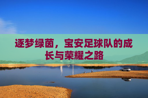 逐梦绿茵,宝安足球队的成长与荣耀之路