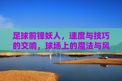 足球前锋妖人，速度与技巧的交响，球场上的魔法与风暴，足球前锋妖人，速度与技巧的交响，球场上的魔法与风暴