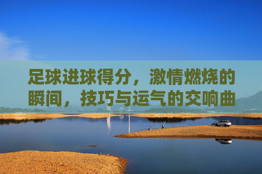 足球进球得分,激情燃烧的瞬间,技巧与运气的交响曲