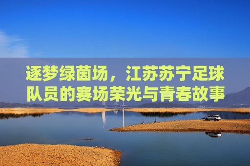 逐梦绿茵场,江苏苏宁足球队员的赛场荣光与青春故事,逐梦绿茵场,江苏苏宁足球队员的赛场荣光与青春故事