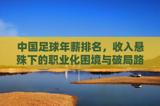 中国足球年薪排名,收入悬殊下的职业化困境与破局路径探析