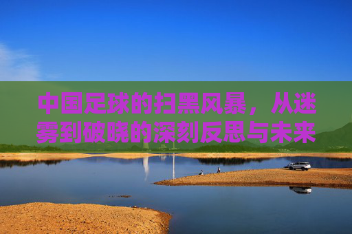 中国足球的扫黑风暴,从迷雾到破晓的深刻反思与未来展望,中国足球的扫黑风暴,从迷雾到破晓的深刻反思与未来展望