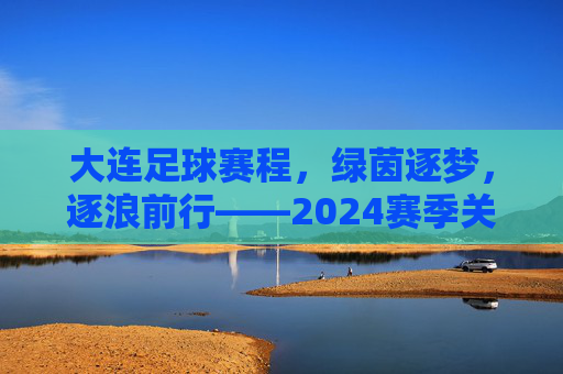 大连足球赛程，绿茵逐梦，逐浪前行——2024赛季关键比赛盘点，大连足球赛程，绿茵逐梦，逐浪前行——2024赛季关键比赛盘点