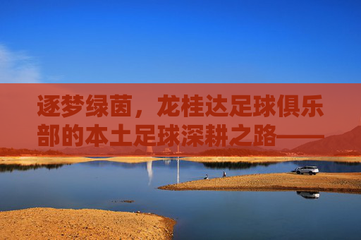 逐梦绿茵,龙桂达足球俱乐部的本土足球深耕之路——从青训摇篮到社区体育标杆,逐梦绿茵,龙桂达足球俱乐部的本土足球深耕之路——从青训摇篮到社区体育标杆