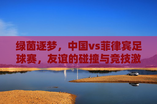 绿茵逐梦,中国vs菲律宾足球赛,友谊的碰撞与竞技激情,绿茵逐梦,中国vs菲律宾足球赛,友谊的碰撞与竞技激情