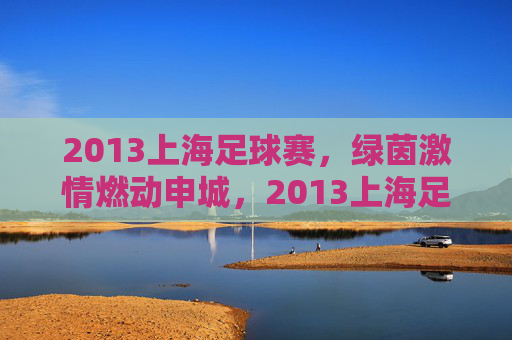 2013上海足球赛，绿茵激情燃动申城，2013上海足球赛，绿茵激情燃动申城