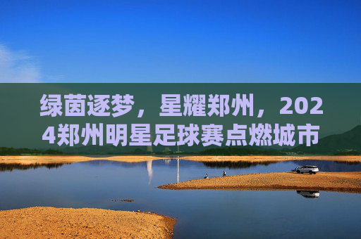 绿茵逐梦，星耀郑州，2024郑州明星足球赛点燃城市足球热情，绿茵逐梦，星耀郑州，2024郑州明星足球赛点燃城市足球热情