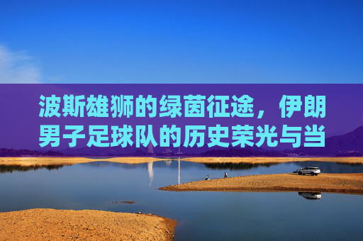 波斯雄狮的绿茵征途,伊朗男子足球队的历史荣光与当代竞技风采,波斯雄狮的绿茵征途,伊朗男子足球队的历史荣光与当代竞技风采
