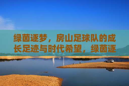 绿茵逐梦,房山足球队的成长足迹与时代希望,绿茵逐梦,房山足球队的成长足迹与时代希望