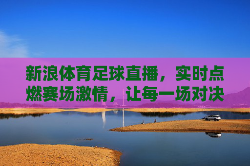 新浪体育足球直播，实时点燃赛场激情，让每一场对决尽在掌握，新浪体育足球直播，实时点燃赛场激情，让每一场对决尽在掌握