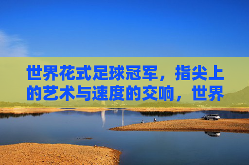 世界花式足球冠军,指尖上的艺术与速度的交响,世界花式足球冠军,指尖上的艺术与速度的交响