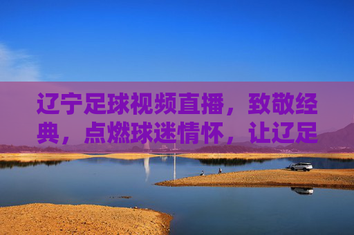辽宁足球视频直播，致敬经典，点燃球迷情怀，让辽足精神永续传承，辽宁足球视频直播，致敬经典，点燃情怀，永续辽足精神