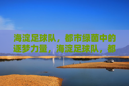 海淀足球队,都市绿茵中的逐梦力量,海淀足球队,都市绿茵中的逐梦力量