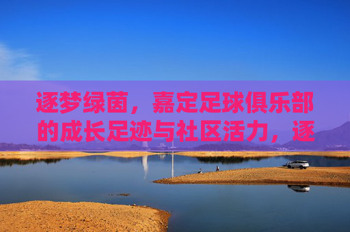 逐梦绿茵，嘉定足球俱乐部的成长足迹与社区活力，逐梦绿茵，嘉定足球俱乐部的成长足迹与社区活力