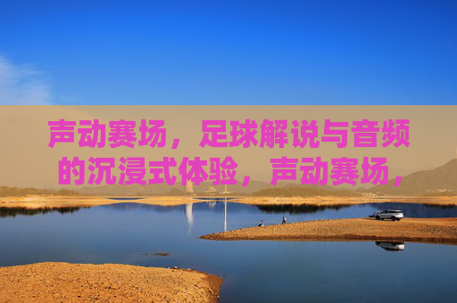 声动赛场，足球解说与音频的沉浸式体验，声动赛场，足球解说与音频的沉浸式体验