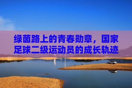 绿茵路上的青春勋章，国家足球二级运动员的成长轨迹与奋斗故事，绿茵路上的青春勋章，国家足球二级运动员的成长轨迹与奋斗故事