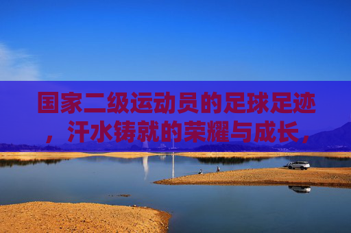 国家二级运动员的足球足迹,汗水铸就的荣耀与成长,国家二级运动员的足球足迹,汗水铸就的荣耀与成长
