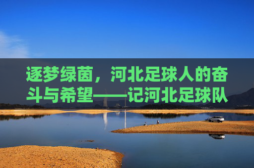 逐梦绿茵,河北足球人的奋斗与希望——记河北足球队员的不懈追求,逐梦绿茵,河北足球人的奋斗与希望——记河北足球队员的不懈追求