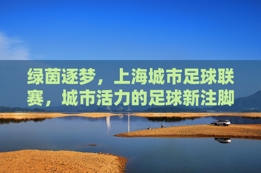 绿茵逐梦，上海城市足球联赛，城市活力的足球新注脚，绿茵逐梦，上海城市足球联赛，城市活力的足球新注脚