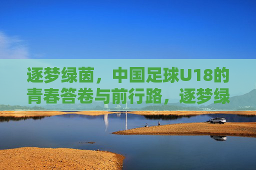 逐梦绿茵，中国足球U18的青春答卷与前行路，逐梦绿茵，中国足球U18的青春答卷与前行路