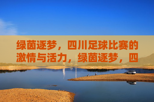 绿茵逐梦，四川足球比赛的激情与活力，绿茵逐梦，四川足球比赛的激情与活力