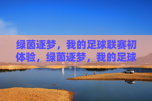 绿茵逐梦，我的足球联赛初体验，绿茵逐梦，我的足球联赛初体验